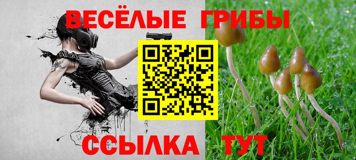Псилоцибиновые грибы мухоморы  Вход с VPN  Белебей 